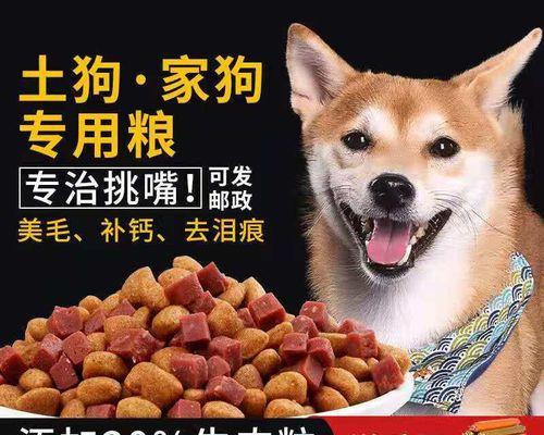 如何正确喂养成犬的狗粮（宠物爱好者必看）