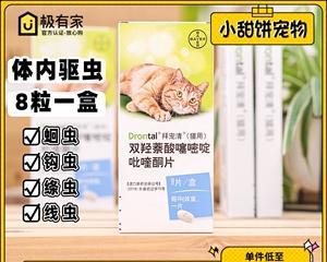 宠物医院猫咪驱虫必知（教你如何选择驱虫药品）