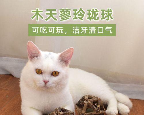 为什么大猫会咬死小猫（探究宠物猫之间的领地意识与攻击行为）