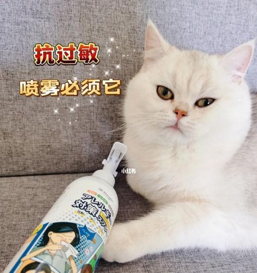 如何缓解对猫过敏（擦药缓解症状）