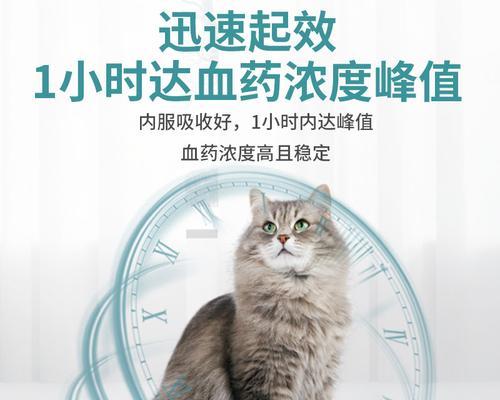 如何给宠物猫咪正确使用消炎药（猫咪消炎药使用的注意事项和方法）