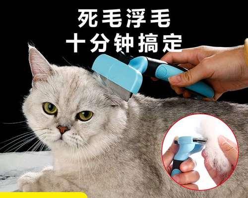 如何让你的猫咪享受梳毛时间（掌握正确的梳毛技巧）