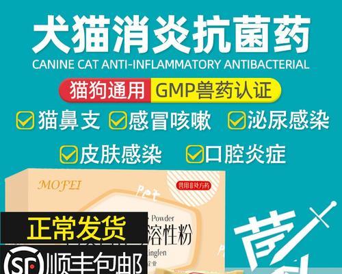 宠物猫如何正确使用消炎药（掌握正确的用药方式）