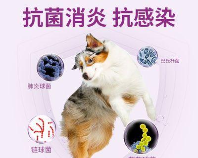 狗狗咳嗽药的正确用法和注意事项（宠物医疗保健）