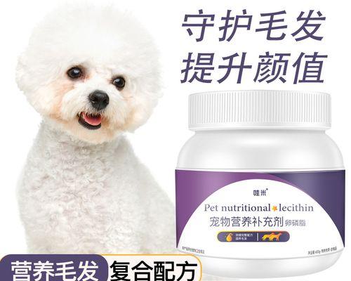 让你的爱犬毛发发亮如新-完美护理指南（宠物护理的全方位指南）