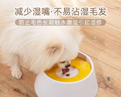 狗狗的饮水需求与保健（宠物主人必读）