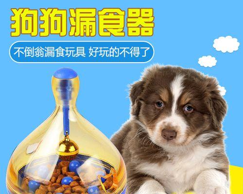 宠物手术的内缝线——关爱狗狗健康（狗狗手术后缝合方法）