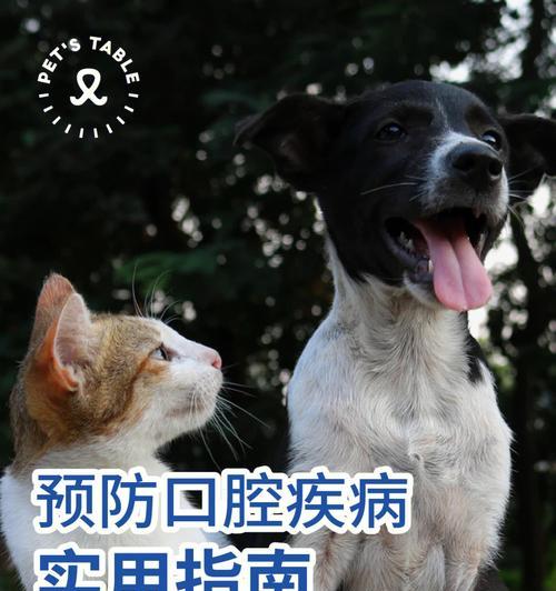 打狗会影响宠物健康吗（从生理）