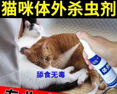 宠物猫洗澡驱虫费用一览（多种方式选择）