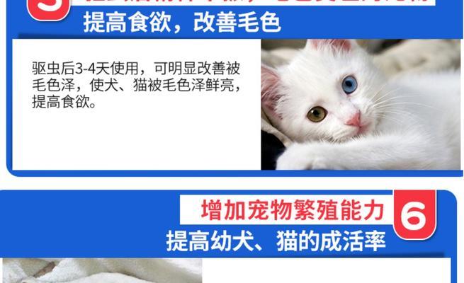 猫咪补血食谱大揭秘（宠物养护必备）