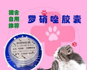 猫咪甲硝唑用量指南（宠物健康必备）