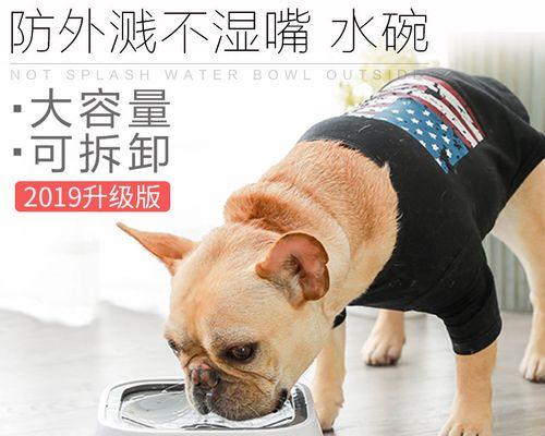 为什么狗不爱喝水（探究狗儿不爱喝水的原因和解决方法）