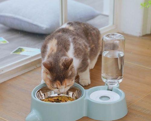 狗狗的饮食（宠物狗的饮食需求及喂养方法详解）