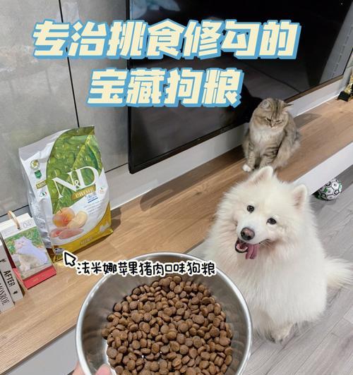 狗狗减肥指南——如何选择适合的减肥狗粮（以宠物为主）