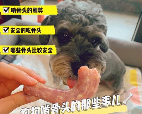 狗狗可以吃肉骨头吗（了解宠物饮食安全）