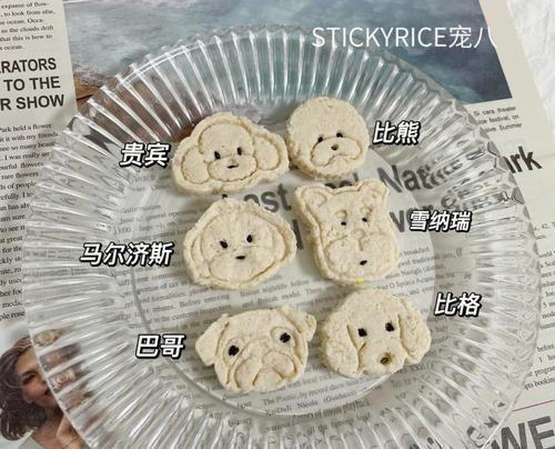 宠物美食制作（用狗狗奶酪片为你的爱犬做一份美味）