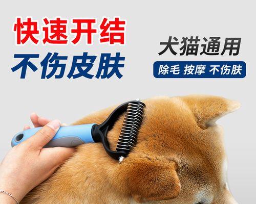 如何正确梳理沙漠耶犬的毛发（掌握沙漠耶犬的毛发特点）