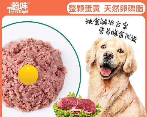 养狗必看（每日喂食次数）