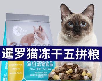 暹罗小猫饮食全攻略——以猫粮为主（以宠物为主）