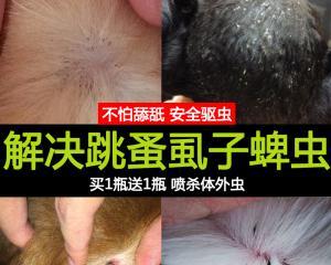 如何防治蜱虫对宠物犬的危害（掌握这些方法）