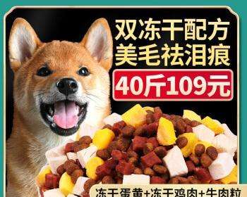 成年犬狗粮的饮食规律（以一天几次为关键）