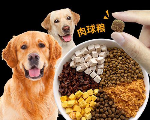 成犬狗粮泡软吃全攻略（让宠物更健康——用泡软吃的方式来喂养成犬狗粮）