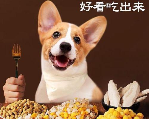 狗狗能否食用蛋白和蛋黄（以营养需求为基准）