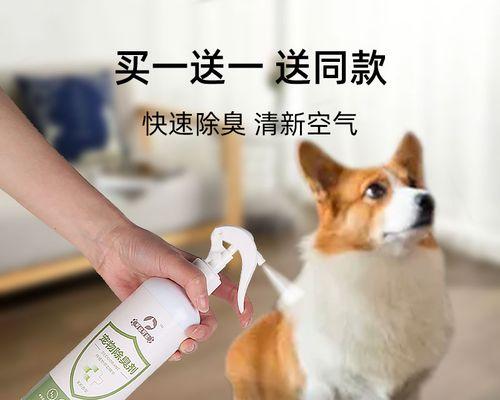 狗狗不见了怎么办（以宠物为主）