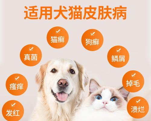 猫狗细小传染方式全解析（宠物主人必读！如何预防细小传染）