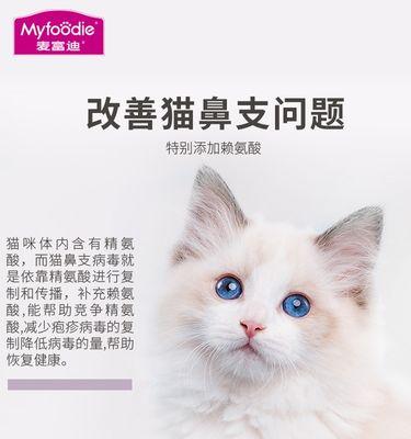 猫妈妈不给小猫清理的原因（探究猫妈妈不给小猫清理的现象及其影响）