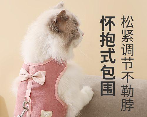 猫咪不爱洗澡怎么办（如何让宠物猫咪爱上洗澡）