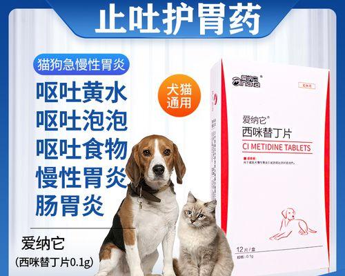 解读猫咪肠胃炎拉稀呕吐的症状及治疗方法