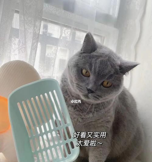 如何正确清理猫咪的猫砂（宠物猫咪的健康与清洁从清理猫砂开始）