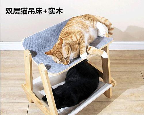 宠物猫多久上一次厕所（猫咪排便频率与健康关系密切）