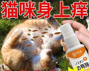 猫咪感冒与驱虫（探究猫咪感冒是否能驱虫的真相）