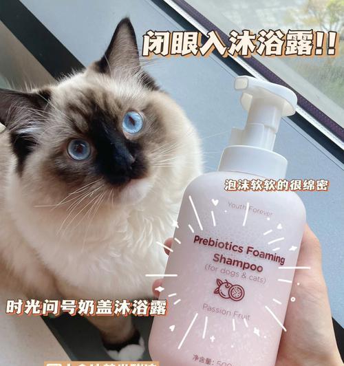 猫咪洗澡沐浴露洗脸，你真的会用吗（宠物护理必备）