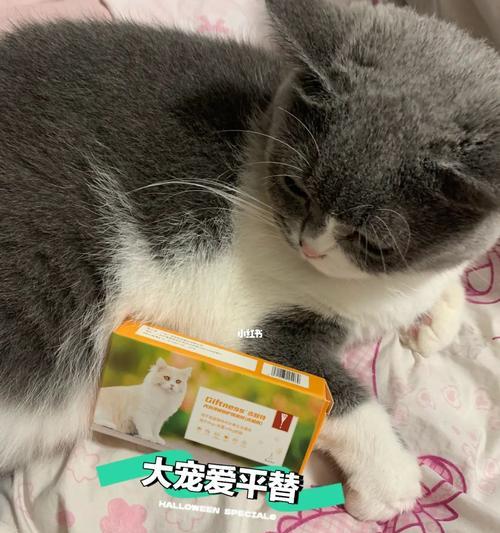 猫咪大爱副作用揭秘（宠物不宜滥用）