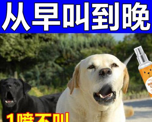 全犬通用的意义与价值（为宠物提供全方位健康保障）