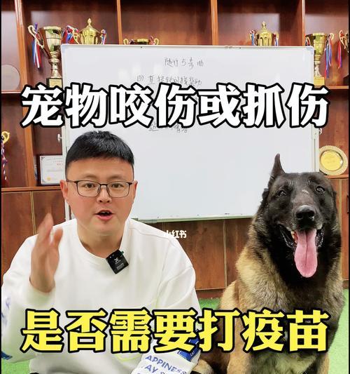 小狗打疫苗，保健它的身体健康（宠物的疫苗接种是必需的）