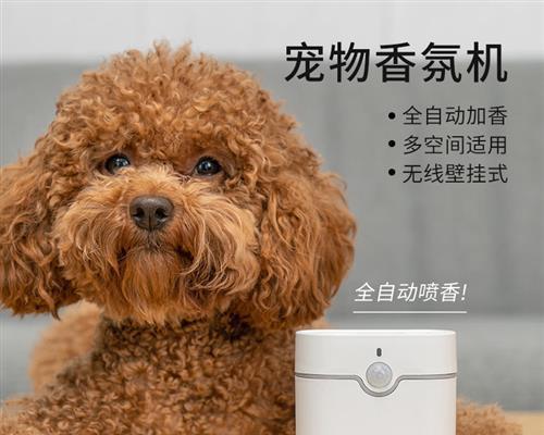 小猫何时开始使用猫砂（宠物护理知识分享）