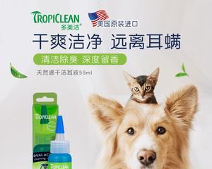 如何解决小猫嘴巴臭问题（探究小猫口气不佳的原因及治疗方法）