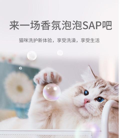 小猫咪吐泡沫怎么办（喵星人突然出现这种情况）