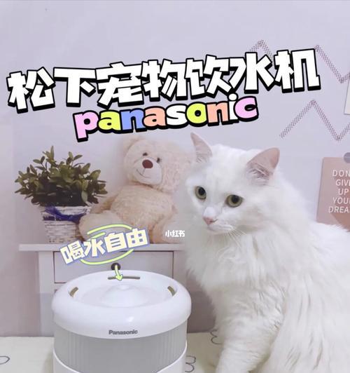 如何对宠物猫的房子进行消毒（保护宠物猫健康）