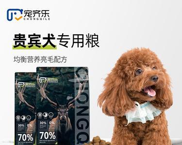 幼犬狗粮每顿60g（养宠物必须知道的幼犬饮食规律）