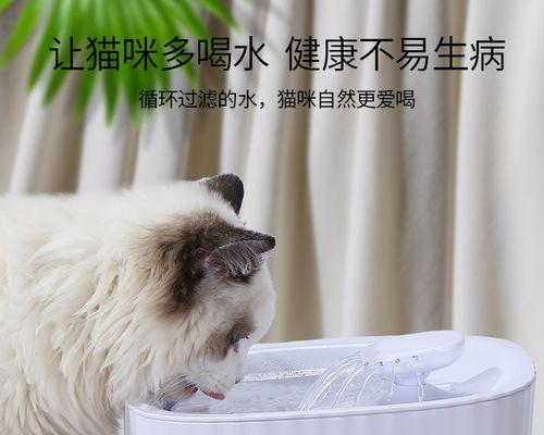 40天小猫的饮水知识（宠物喝水应该注意什么）