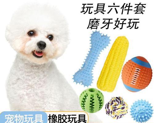 如何辨别比熊犬的临终反应