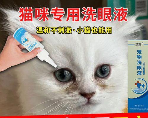 小猫咪的眼屎问题解决方法（解决小猫咪眼屎问题的有效方法）