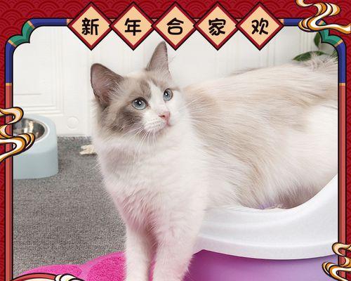 新猫砂猫咪不认怎么办（解决猫咪对新猫砂的排斥问题）