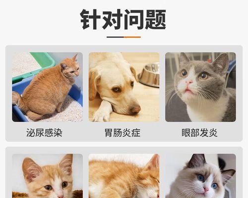 雄猫咪尿路感染怎么办（宠物药物治疗方案）