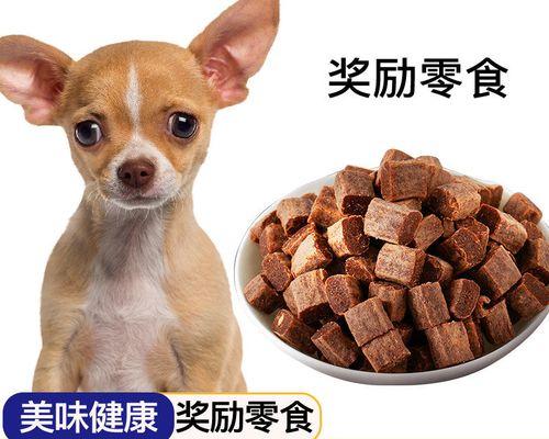 幼犬补钙时机解析（最佳补钙时段及方法）